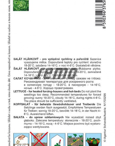 Semo Kopfsalat  Bremex