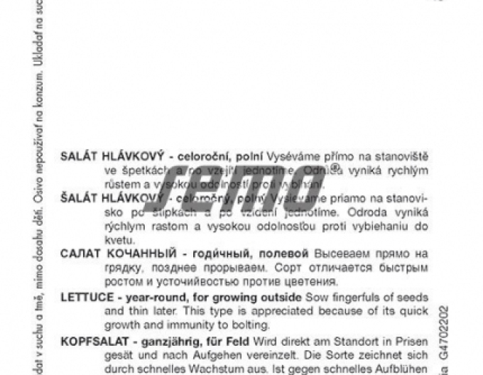Semo Kopfsalat Mercurion