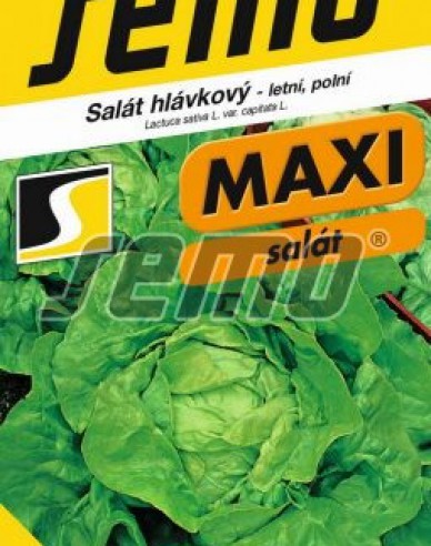 Semo Sommersalat Jupiter