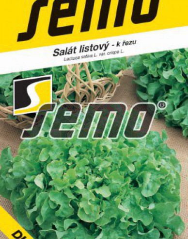 Semo Blattsalat „Dubagold“