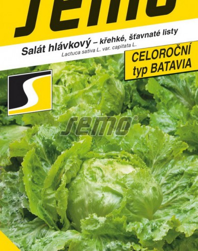 Semo Kopfsalat Batavus
