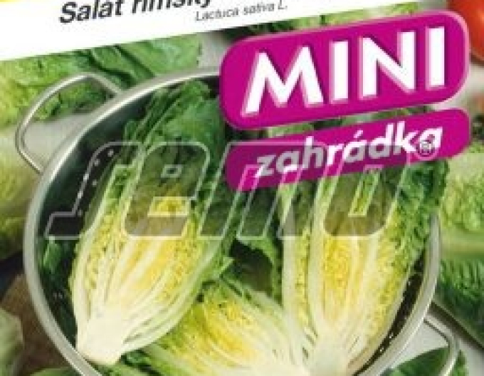 Semo Römersalat „Little Gem“