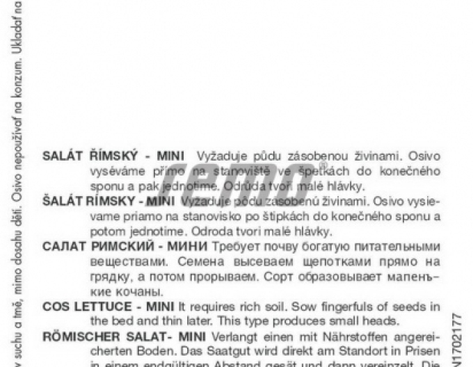 Semo Römersalat „Little Gem“
