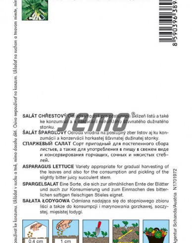Saatgut Spargelsalat Celtuce