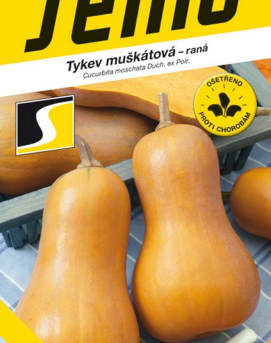 Semo Muskatkürbis Laura