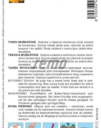 Semo Muskatkürbis Stella F1