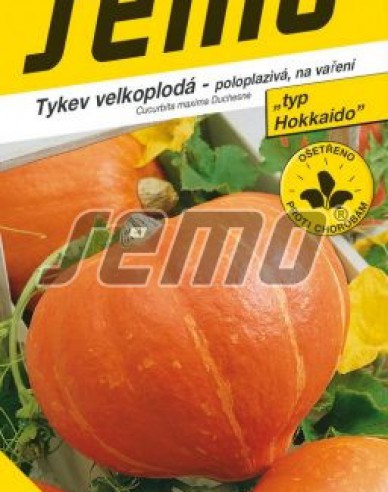 Semo Riesenkürbis Amoro F1