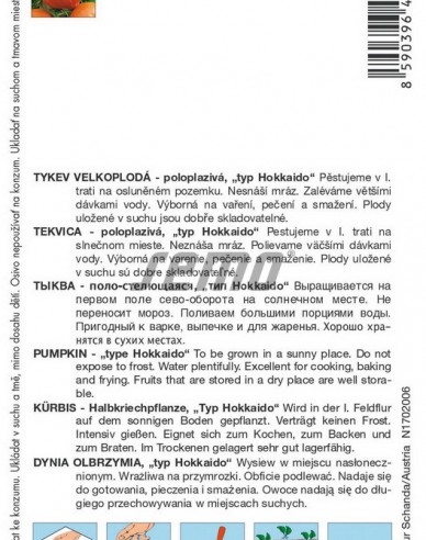 Semo Riesenkürbis Amoro F1