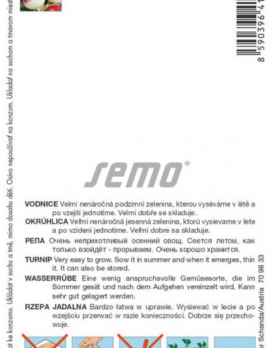 Semo Weißrübe Purple Top White