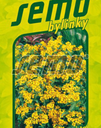 Semo Tagetes Mexicana