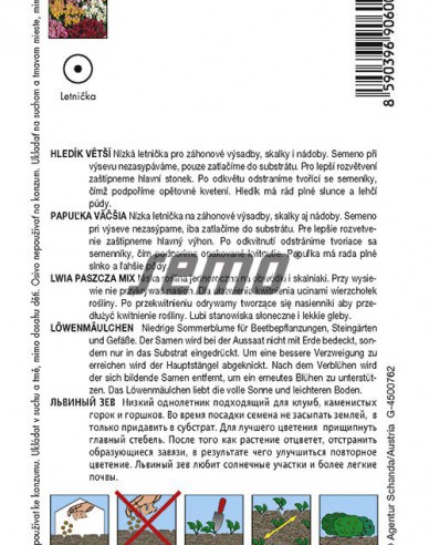 Semo Löwenmäulchen Tom Pouce