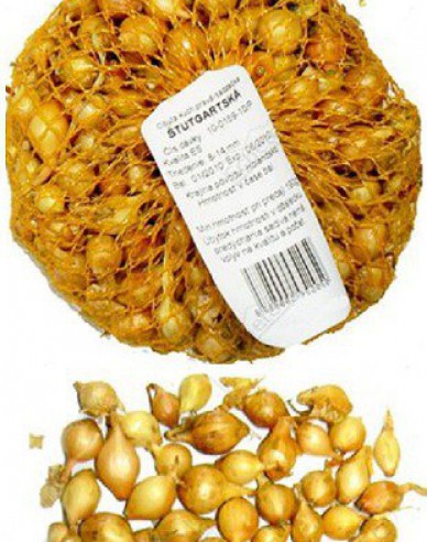 Steckzwiebel Stutgartská 10/21 0,5kg