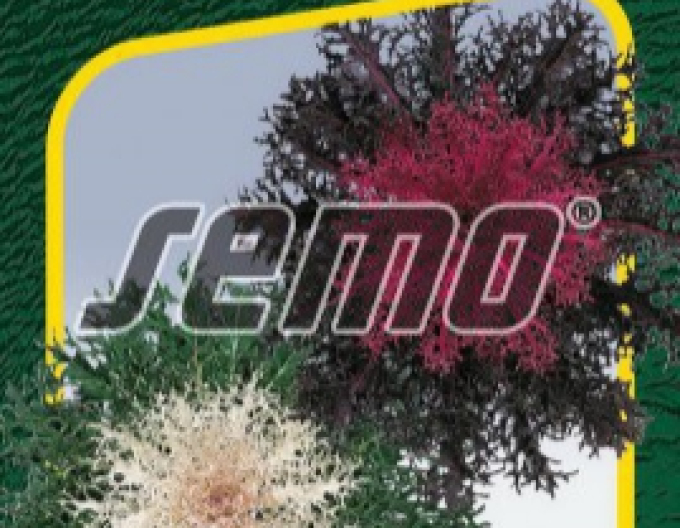 Semo Zierkohl Peacock F1 Mix