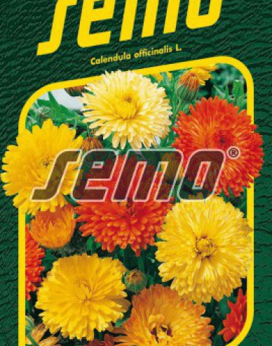 Semo Ringelblume Pacific Beauty