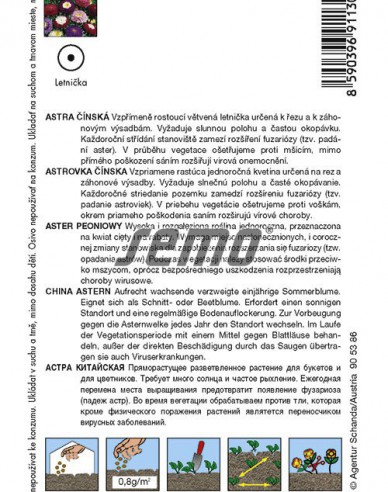 Semo Sommeraster Pompon Mix