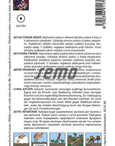 Semo Aster  Colour Carpet Mix