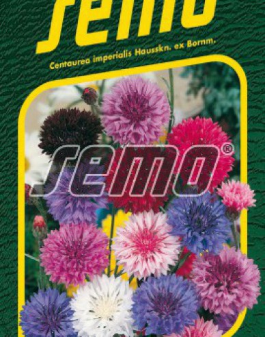 Semo Kornblume Mix