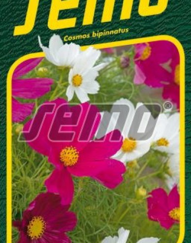 Semo Krasulka Gazebo Mix