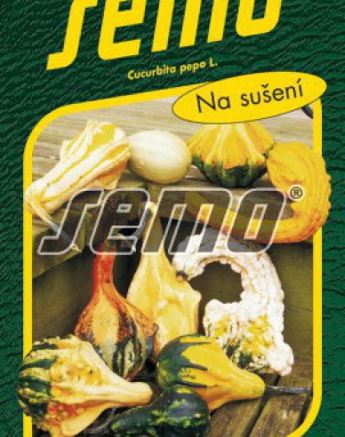 Semo Zierkürbis ‚Engelsflügel‘