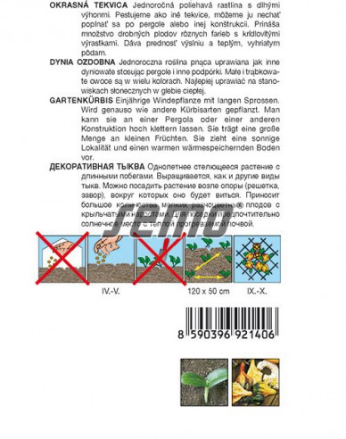 Semo Zierkürbis ‚Engelsflügel‘