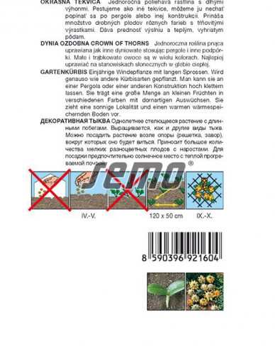 Semo Zierkürbis ‚Dornenkrone‘