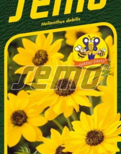 Semo Sonnenblume Sunny Babe