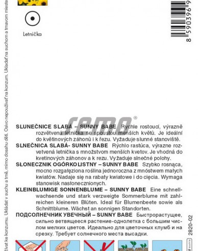 Semo Sonnenblume Sunny Babe