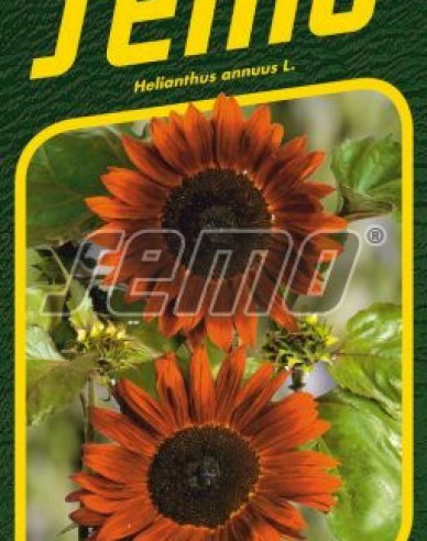 Semo Sonnenblume Claret F1