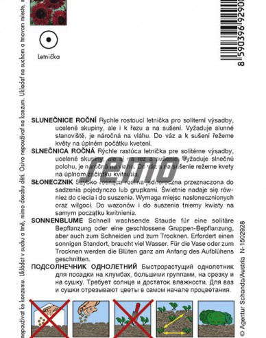 Semo Sonnenblume Rot