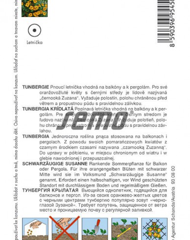 Semo Thunbergia Orange mit Auge