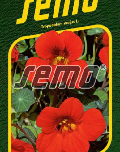 Semo Kapuzinerkresse Princess of India