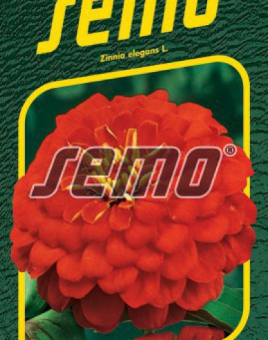 Semo Zinnie Cherry Queen