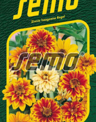 Semo Zinnie Haages Mix