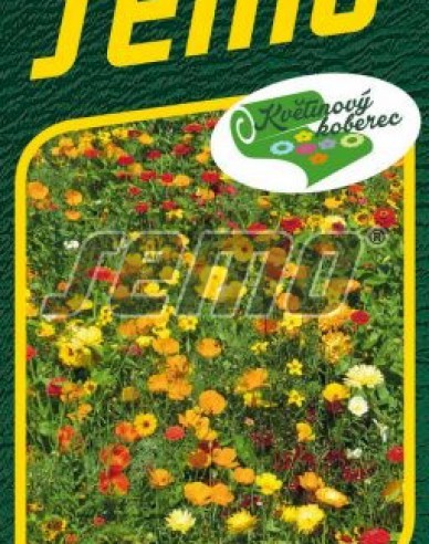 Semo Blumenteppich Tausende von Lichtern