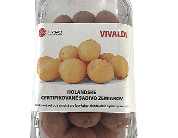 Pflanzkartoffeln Vivaldi Wanne cca 1kg
