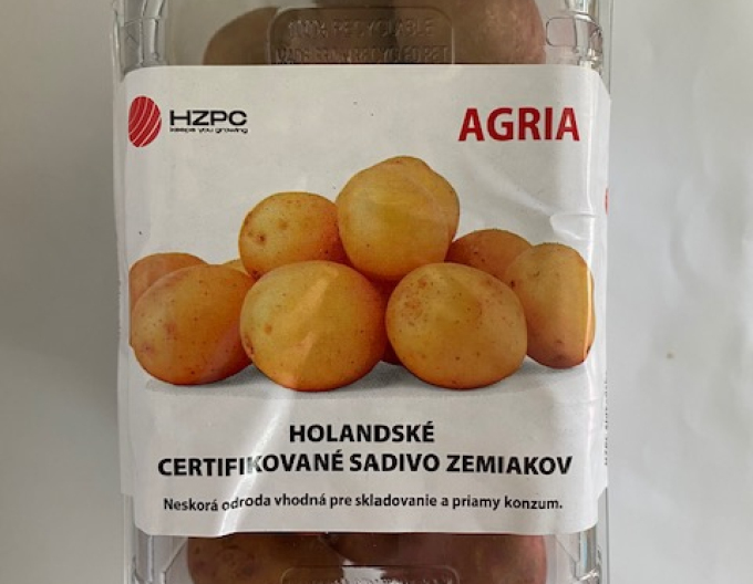 Pflanzkartoffeln Agria Wanne cca 1kg