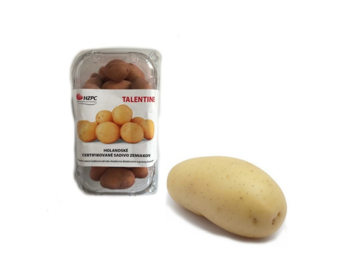 Pflanzkartoffeln Talentine Wanne cca 1kg