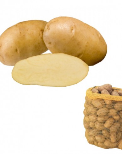 Pflanzkartoffeln Agria 5kg