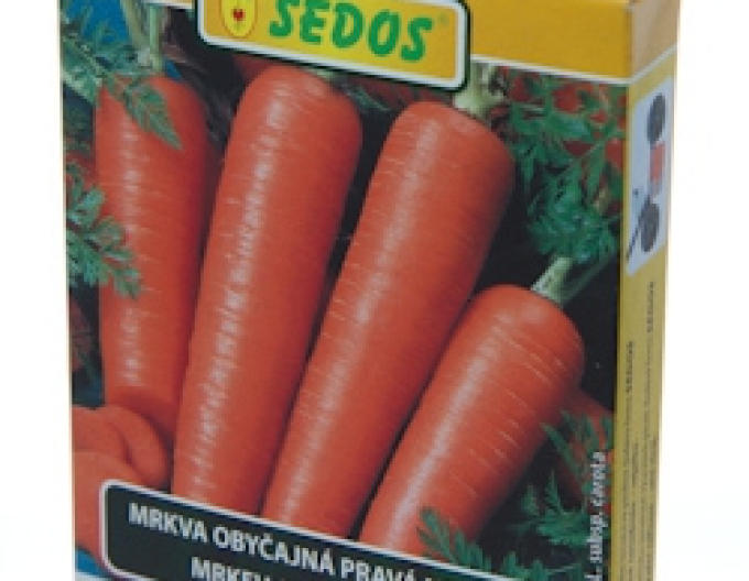 Sedos Karotte Tinga - Aussaatstreifen 5m