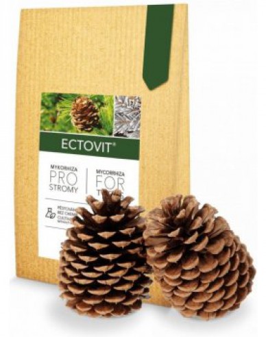 Symbivit Ectovit - Mykorrhiza für Bäume 100 g