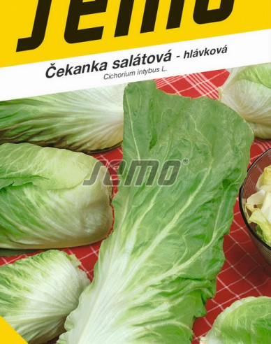 Semo Chicorée Bravo