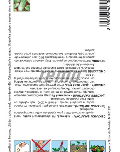 Semo Chicorée Bravo