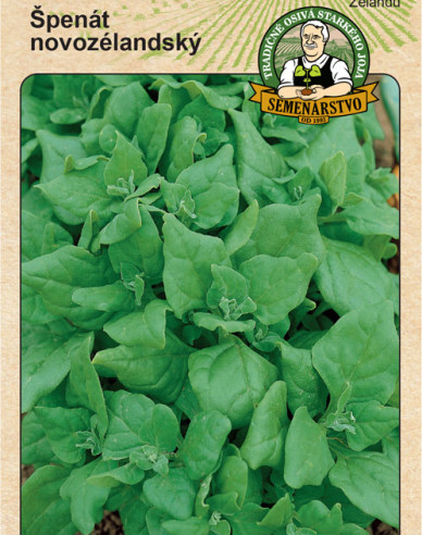 Neuseeländischer Spinat