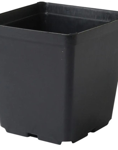 Quadratischer Blumentopf aus Kunststoff 11x11x12