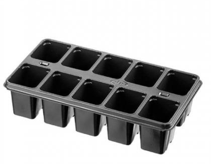 Anzuchtschale mit 10 Zellen