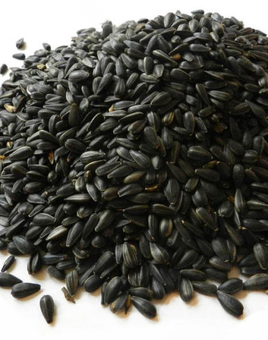 Forestina Schwarze Sonnenblume - Futtermittel 25kg