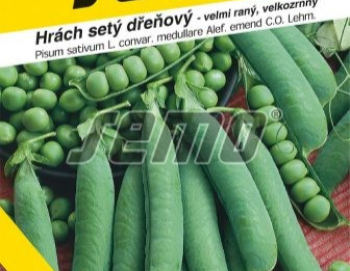 Semo Erbse Avola 250g