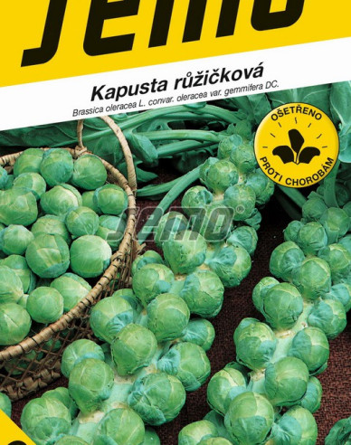 Semo Wirsing Groninger