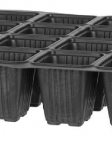 Anzuchtschale mit 24 Zellen