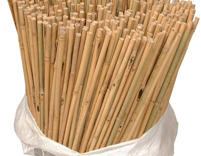 Bambusstab 120cm 10/12